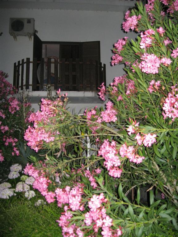 Hotel Casa Morgado à Almeida Extérieur photo